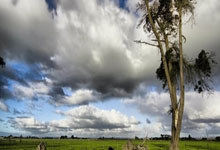 关于罗马今晨单刀错失，志在西甲名次提升，媒体盛赞，阵容厚度经受考验的信息